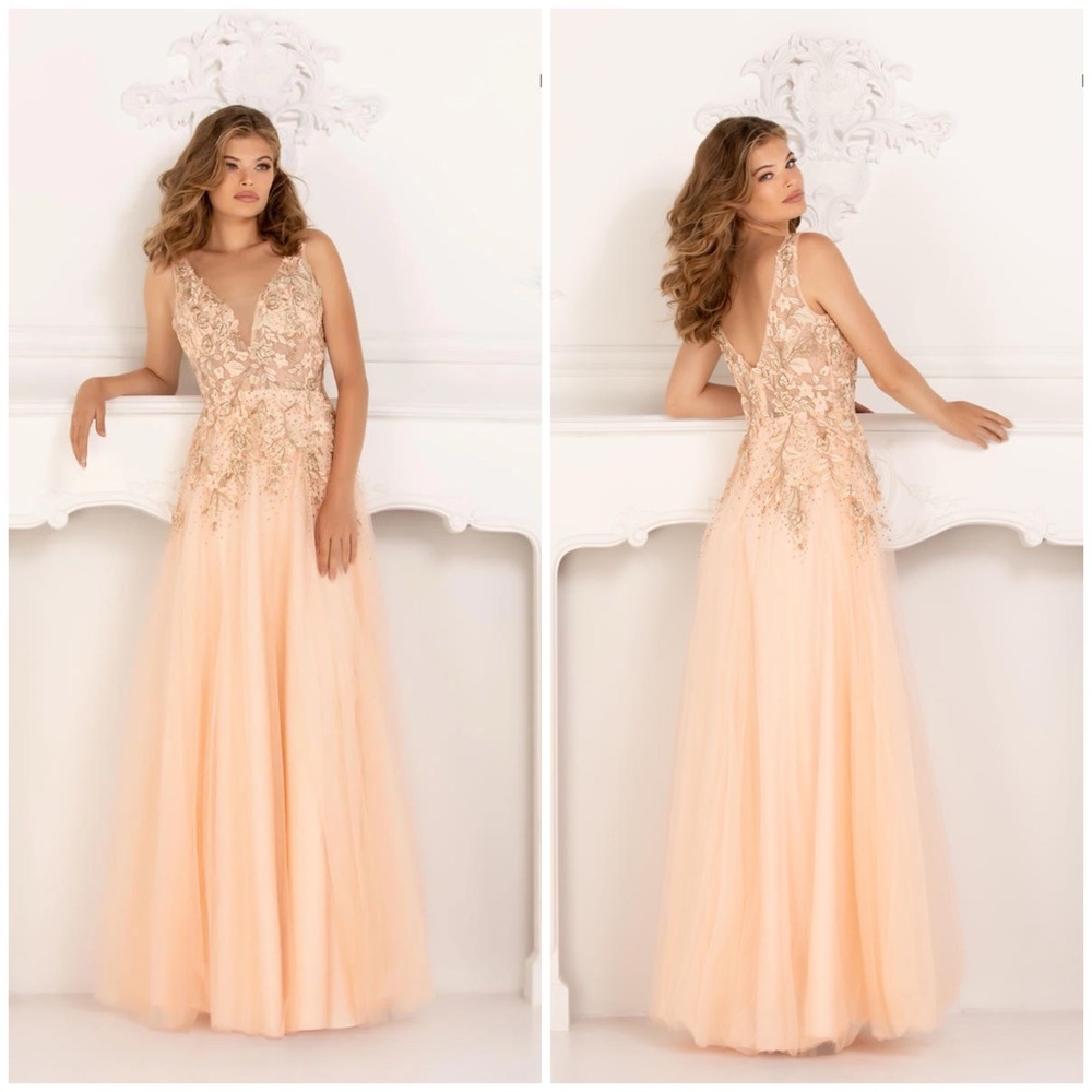 Long blush tulle dress with florals size 6 new with tags by Lucci Lu
